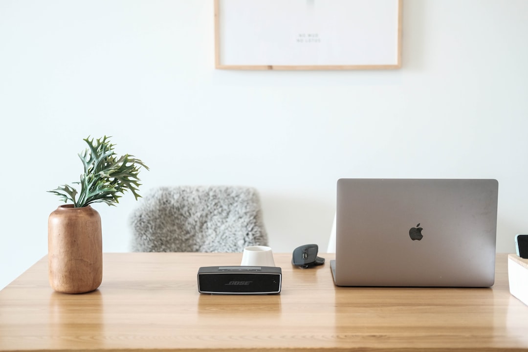Clean modern desk workspace with laptop and plant